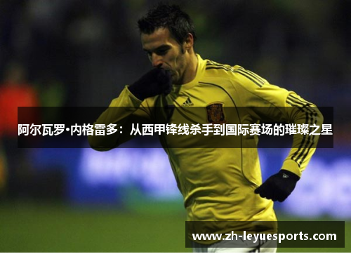 阿尔瓦罗·内格雷多：从西甲锋线杀手到国际赛场的璀璨之星