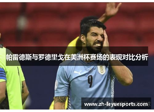 帕雷德斯与罗德里戈在美洲杯赛场的表现对比分析