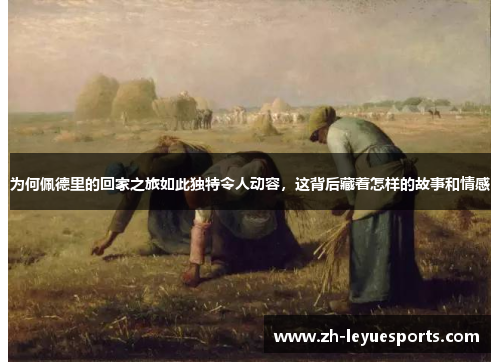 为何佩德里的回家之旅如此独特令人动容，这背后藏着怎样的故事和情感