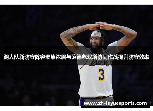 湖人队新防守阵容聚焦浓眉与范德彪双塔协同作战提升防守效率