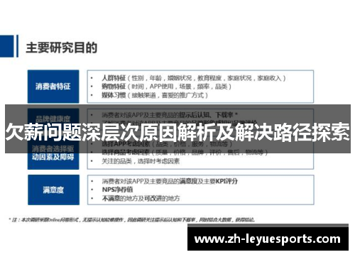 欠薪问题深层次原因解析及解决路径探索 欠薪问题深层次原因解析及解决路径探索