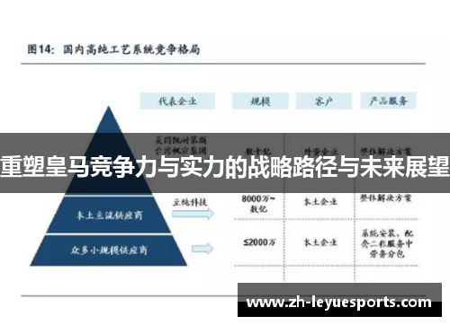 重塑皇马竞争力与实力的战略路径与未来展望 重塑皇马竞争力与实力的战略路径与未来展望