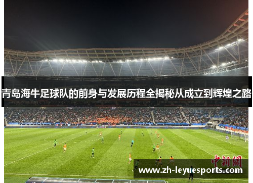 青岛海牛足球队的前身与发展历程全揭秘从成立到辉煌之路 青岛海牛足球队的前身与发展历程全揭秘从成立到辉煌之路