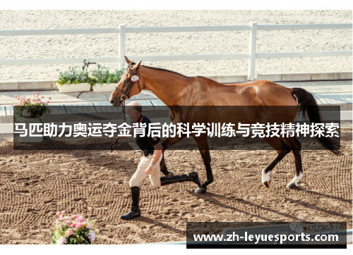 马匹助力奥运夺金背后的科学训练与竞技精神探索