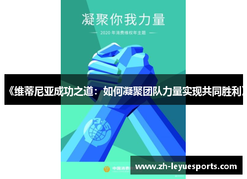 《维蒂尼亚成功之道:如何凝聚团队力量实现共同胜利》 《维蒂尼亚成功之道:如何凝聚团队力量实现共同胜利》