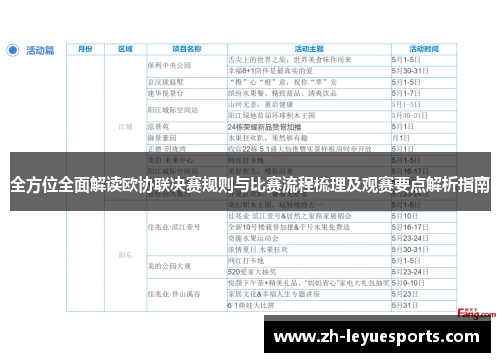 全方位全面解读欧协联决赛规则与比赛流程梳理及观赛要点解析指南