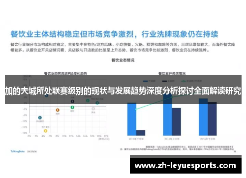 加的夫城所处联赛级别的现状与发展趋势深度分析探讨全面解读研究