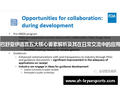 巴舒亚伊语言五大核心要素解析及其在日常交流中的应用